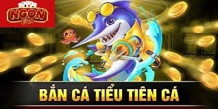 Luật chơi cơ bản của game Bắn cá Tiểu Tiên Cá